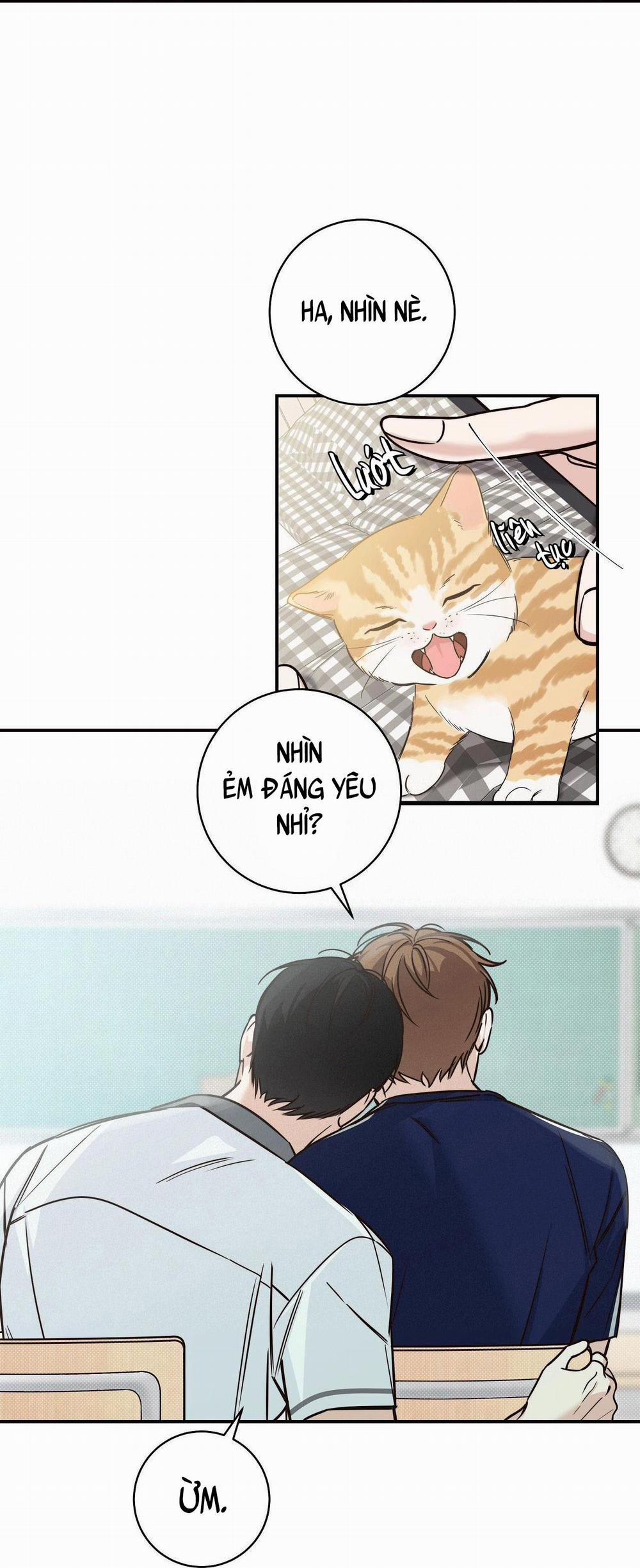 Mùa Hè Năm Ấy 8 trang 74