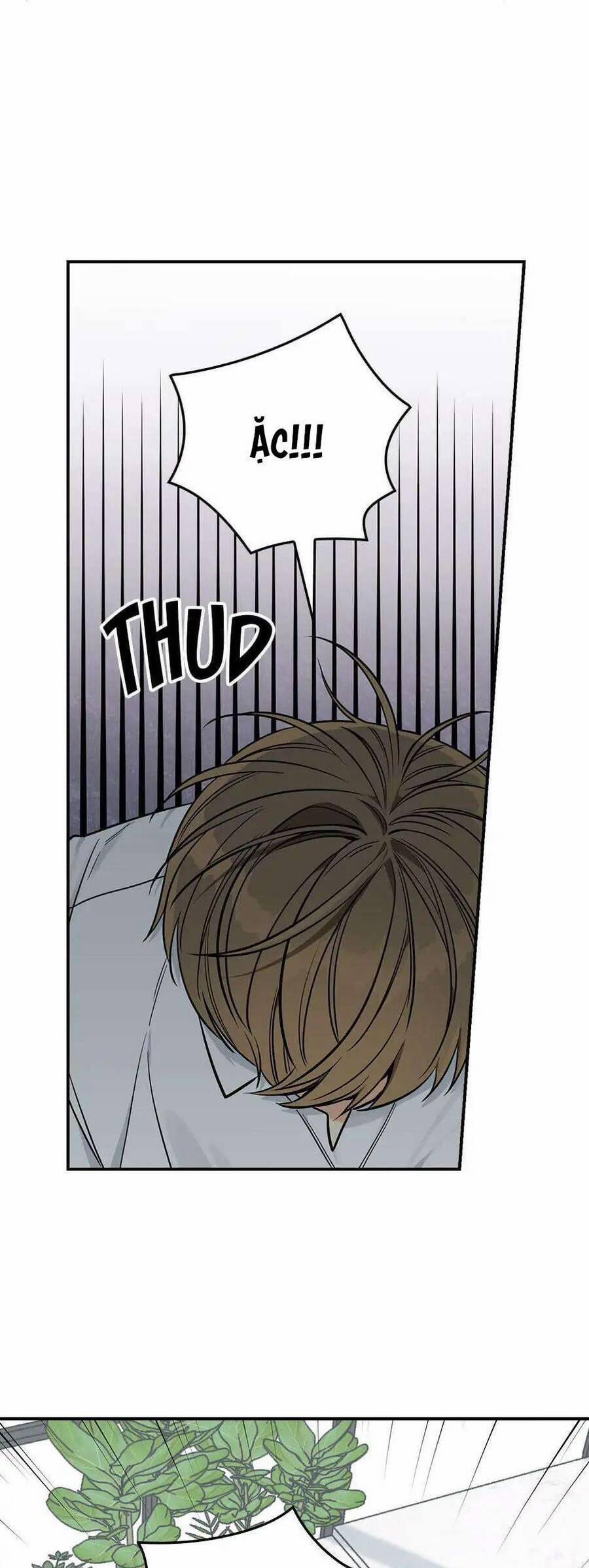 Mùa Xuân Của Espresso 35 trang 5