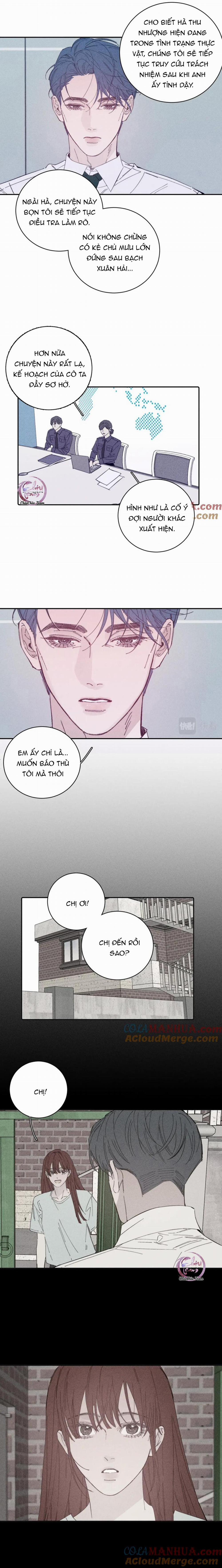 Mùa Xuân Đang Đến 103 trang 4