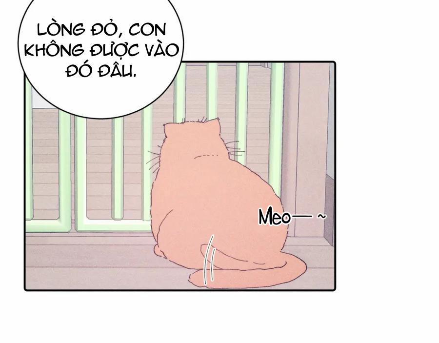 Mùa Xuân Đang Đến 105 trang 15