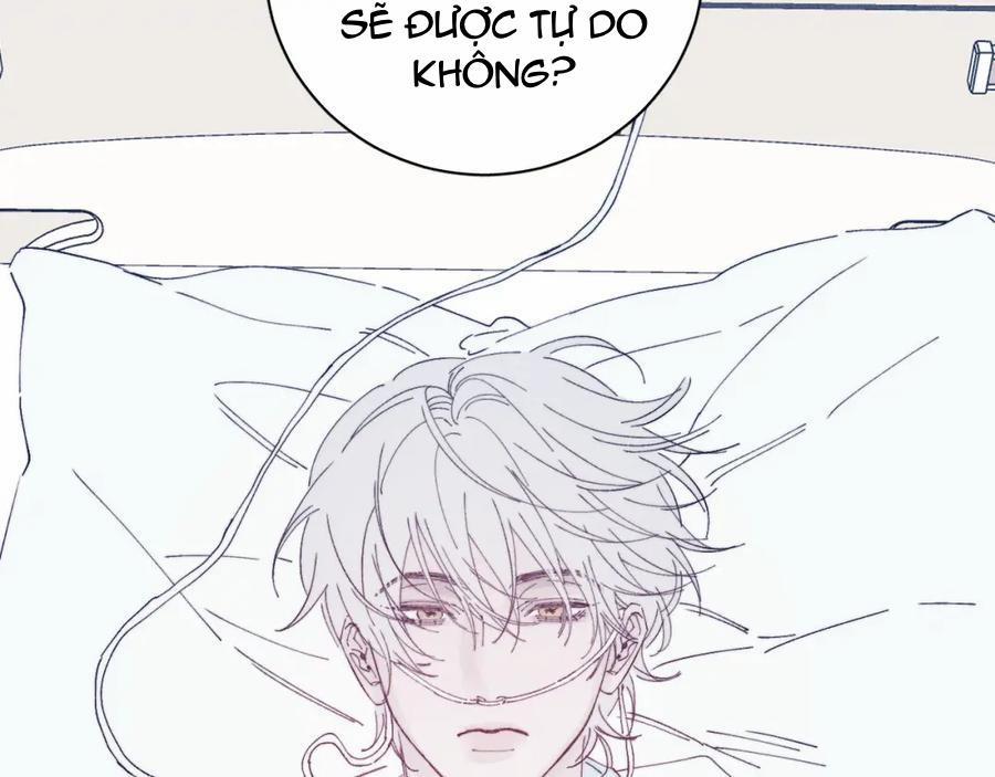 Mùa Xuân Đang Đến 105 trang 68