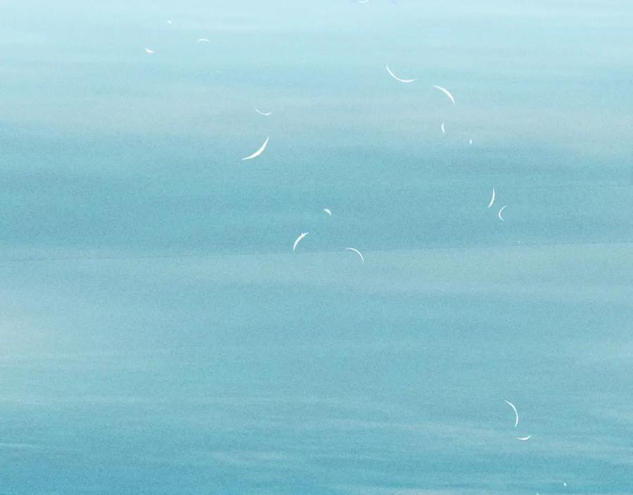 Mùa Xuân Đang Đến 105 trang 98