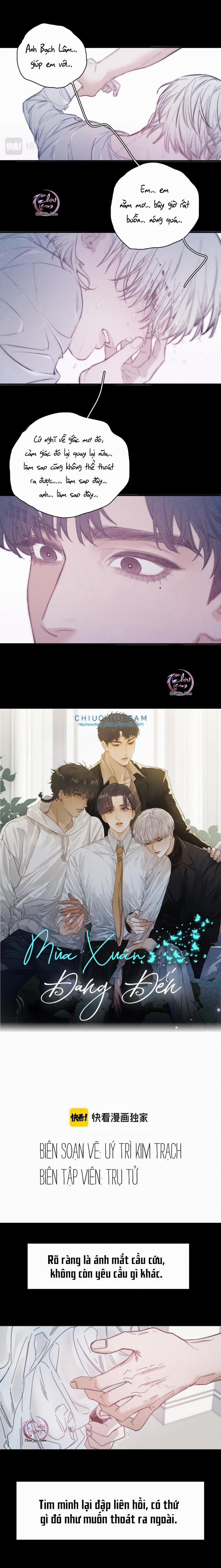 Mùa Xuân Đang Đến 50 trang 0