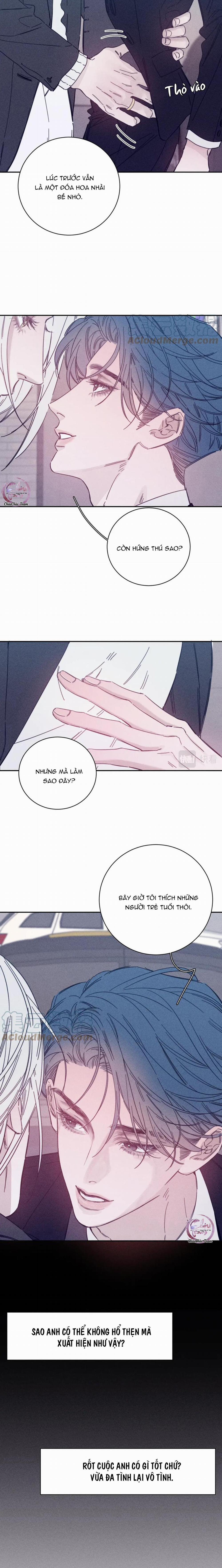 Mùa Xuân Đang Đến 82 trang 3