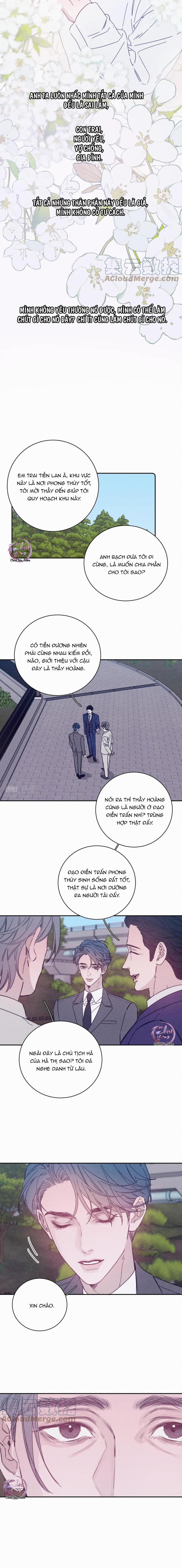 Mùa Xuân Đang Đến 82 trang 7