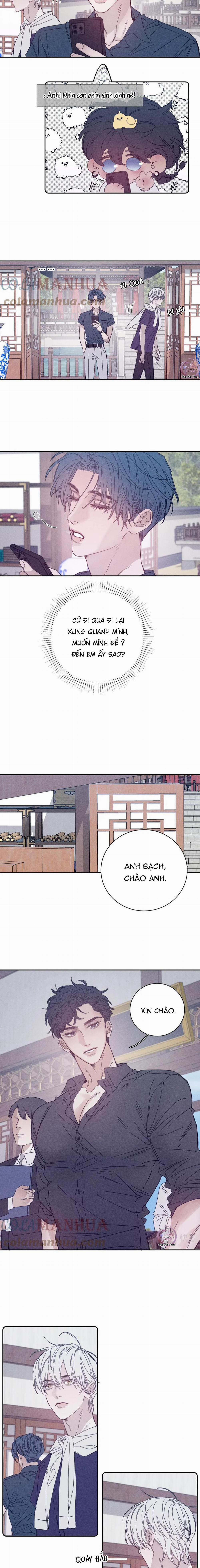 Mùa Xuân Đang Đến 86 trang 6