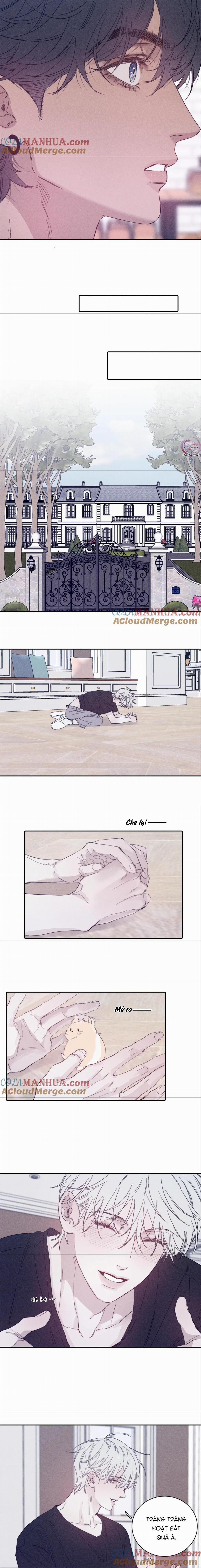 Mùa Xuân Đang Đến 95 trang 3