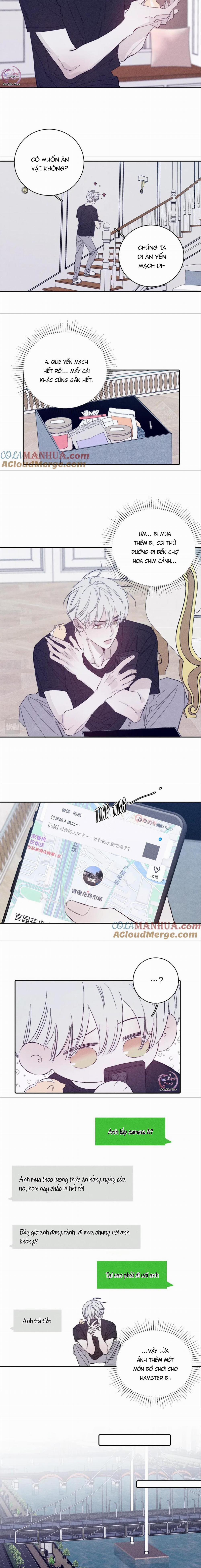 Mùa Xuân Đang Đến 95 trang 4