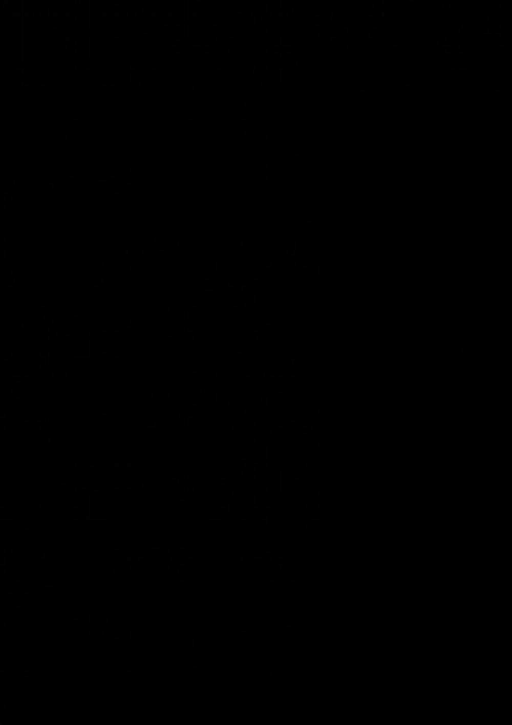 Muboubi na Aya Onee-chan to Otomari (Touhou Project) Oneshot trang 2