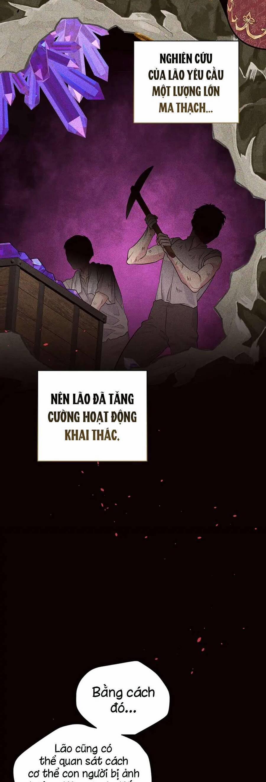 Mục Tiêu Là Cuộc Sống Hoàn Hảo Bất Khả Xâm Phạm 124 trang 17