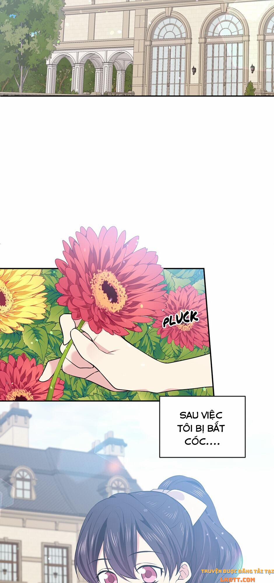 Mục Tiêu Là Cuộc Sống Hoàn Hảo Bất Khả Xâm Phạm 25 trang 48