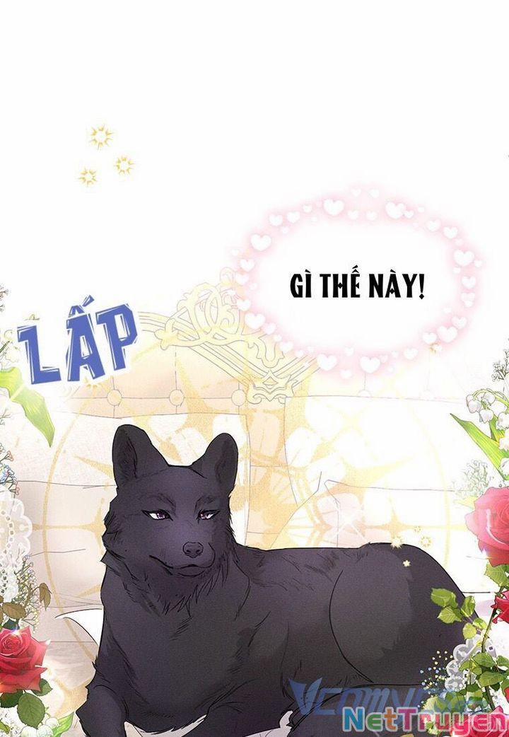 Mục Tiêu Là Tự Do 14 trang 2