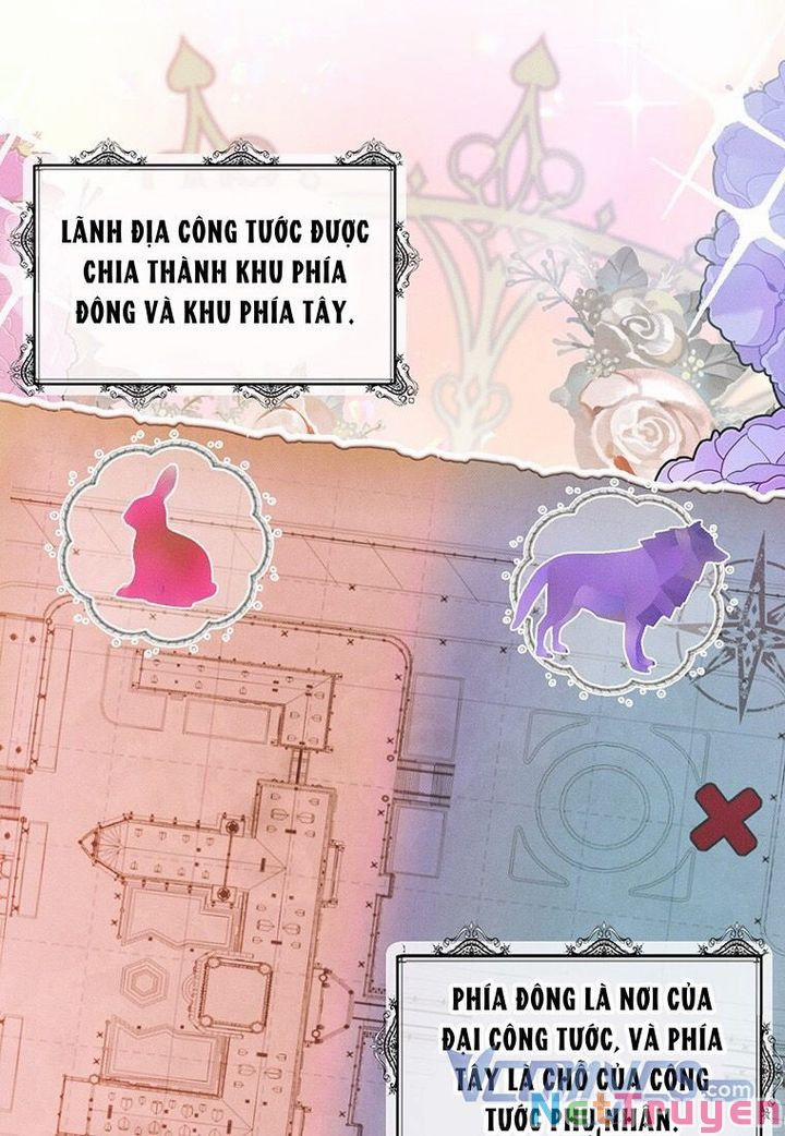 Mục Tiêu Là Tự Do 16 trang 21