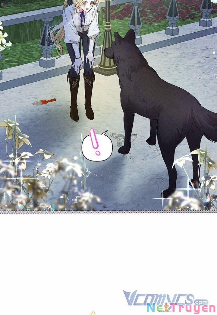 Mục Tiêu Là Tự Do 16 trang 43