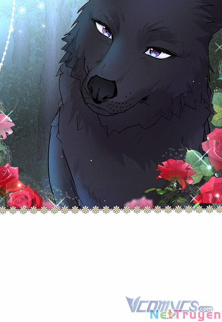 Mục Tiêu Là Tự Do 16 trang 67