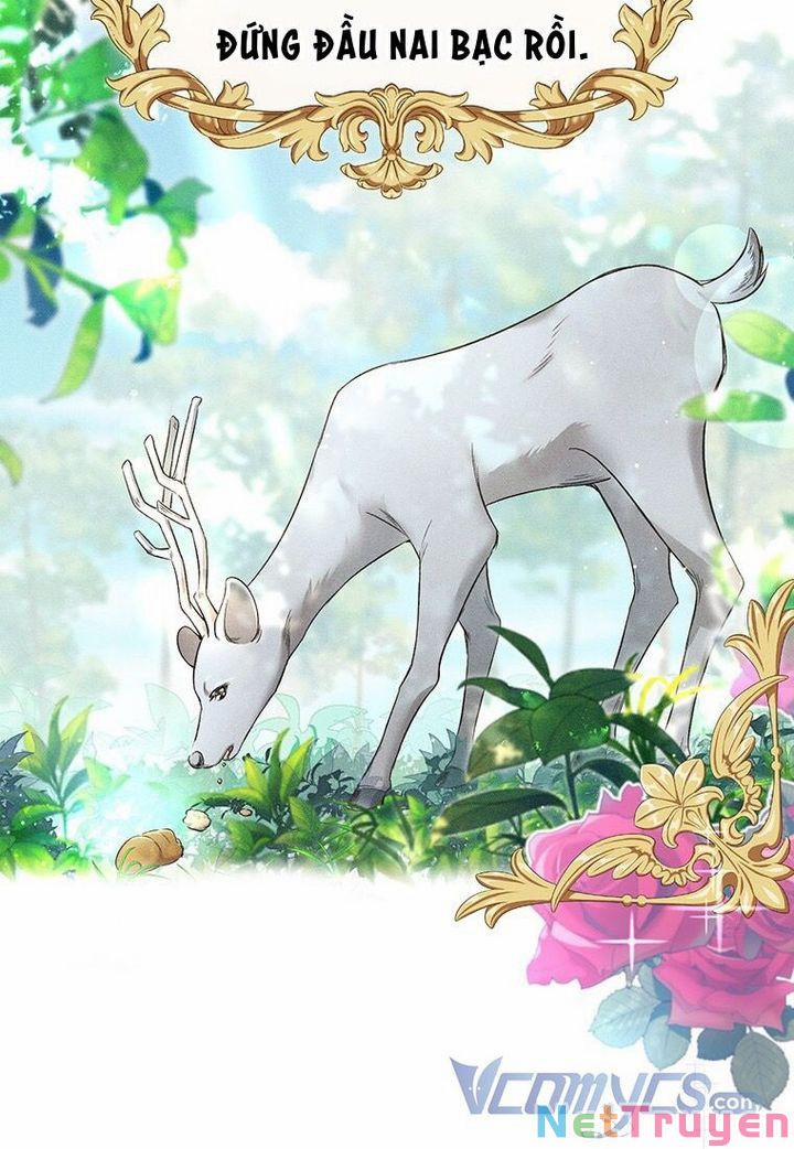 Mục Tiêu Là Tự Do 17 trang 21