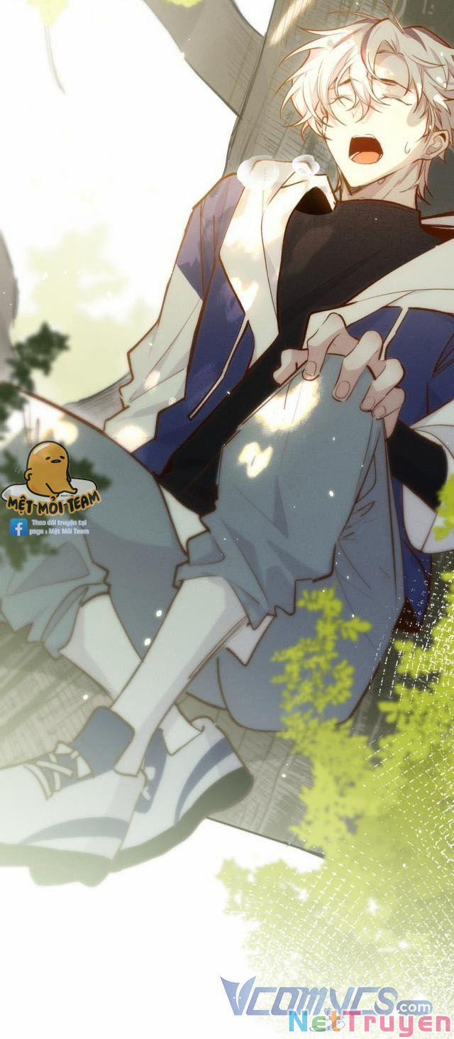 Mười Năm Sau, Tôi Kết Hôn Với Kẻ Không Đội Trời Chung Của Mình?! 10 trang 9