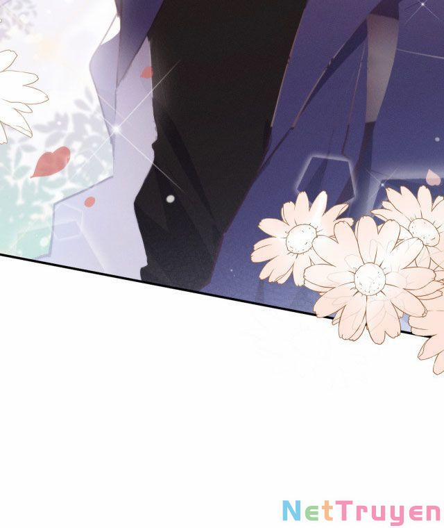 Mười Năm Sau, Tôi Kết Hôn Với Kẻ Không Đội Trời Chung Của Mình?! 11 trang 13