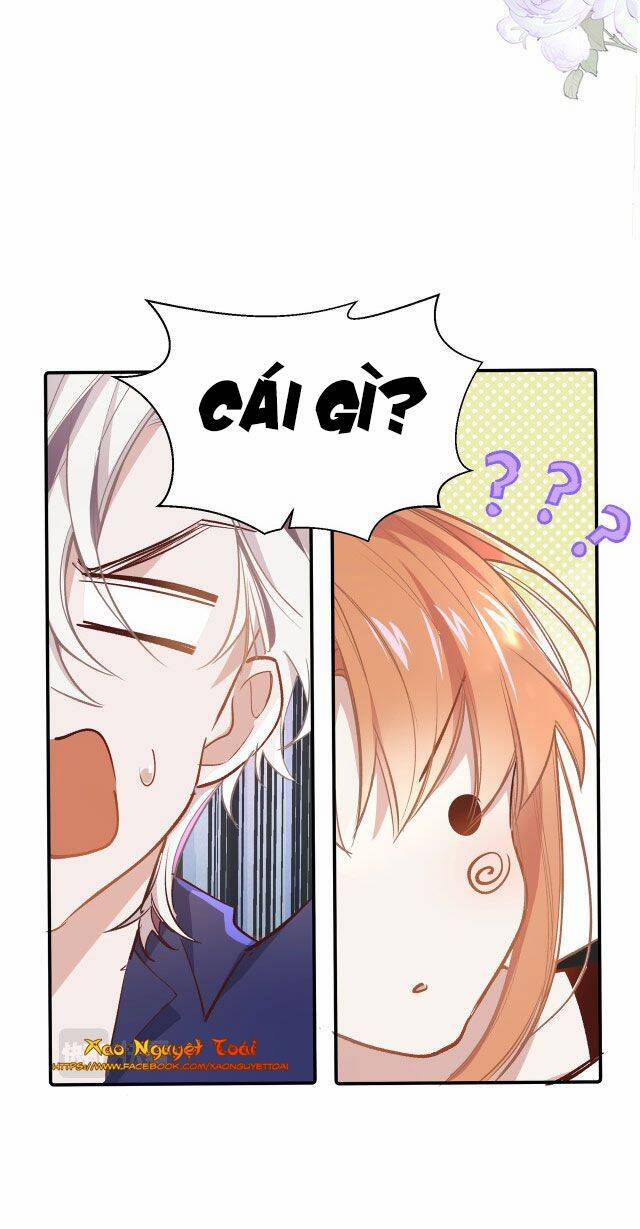 Mười Năm Sau, Tôi Kết Hôn Với Kẻ Không Đội Trời Chung Của Mình?! 19 trang 11