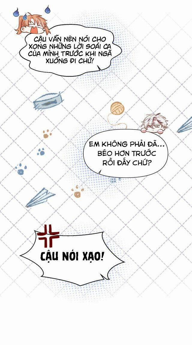 Mười Năm Sau, Tôi Kết Hôn Với Kẻ Không Đội Trời Chung Của Mình?! 24 trang 23