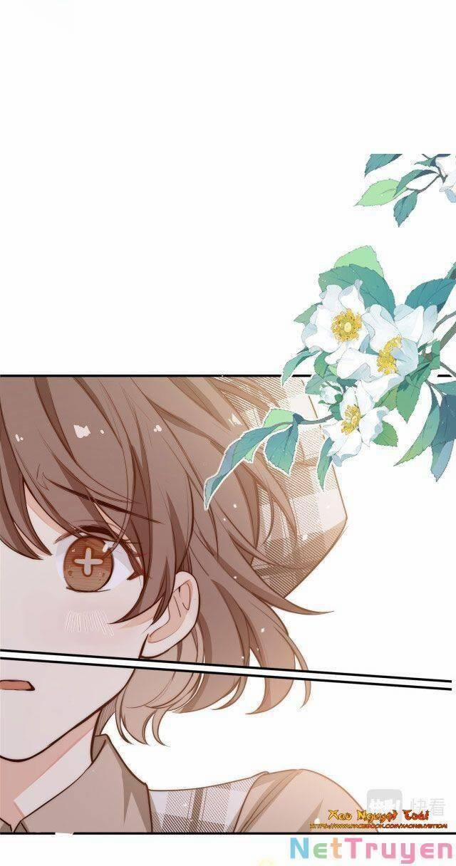 Mười Năm Sau, Tôi Kết Hôn Với Kẻ Không Đội Trời Chung Của Mình?! 29 trang 12