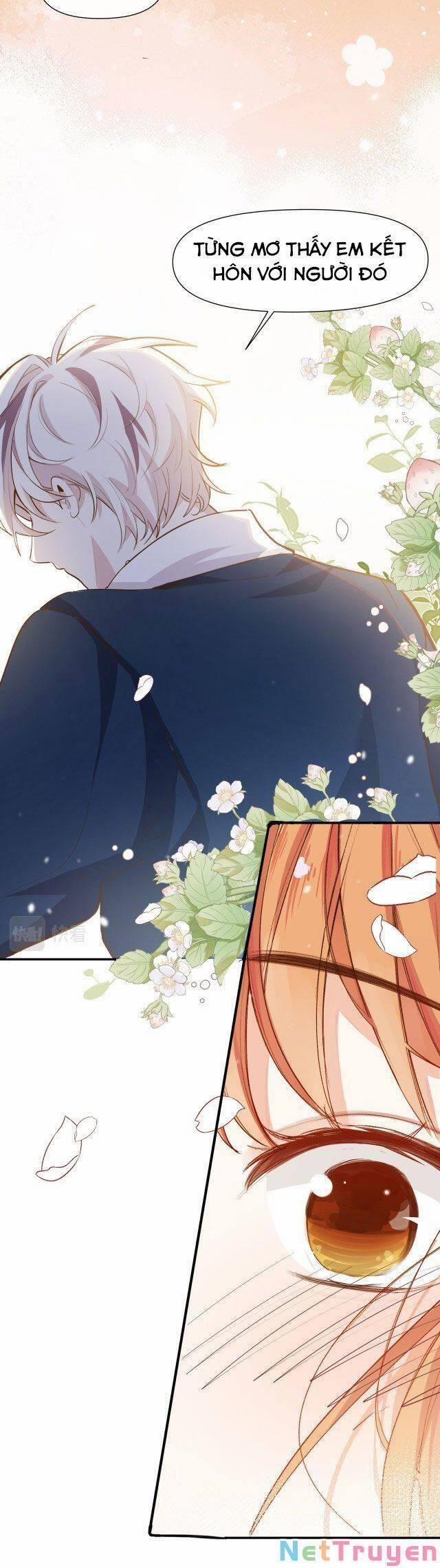 Mười Năm Sau, Tôi Kết Hôn Với Kẻ Không Đội Trời Chung Của Mình?! 31 trang 13