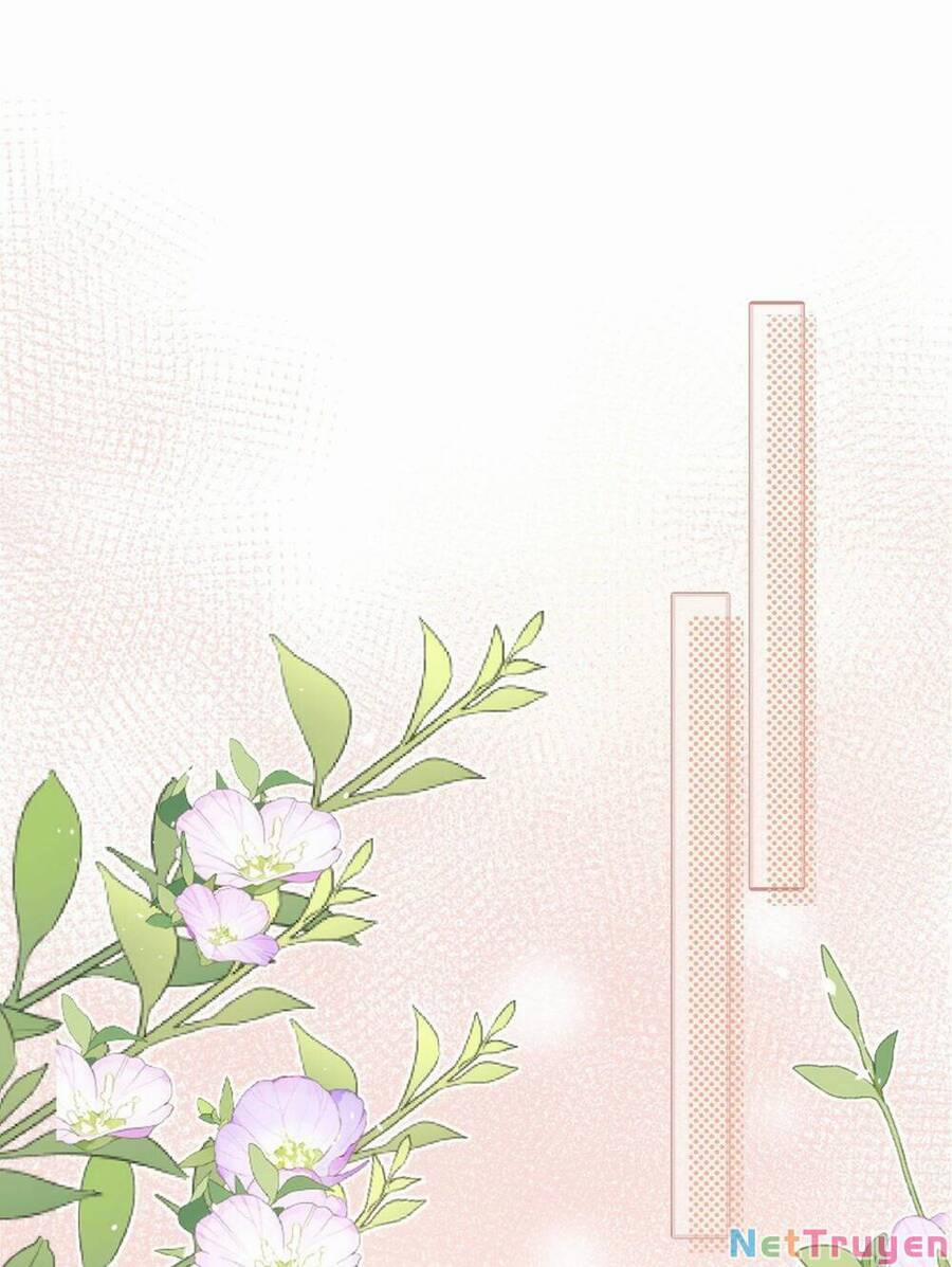 Mười Năm Sau, Tôi Kết Hôn Với Kẻ Không Đội Trời Chung Của Mình?! 39 trang 12