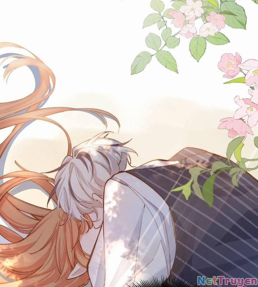 Mười Năm Sau, Tôi Kết Hôn Với Kẻ Không Đội Trời Chung Của Mình?! 39 trang 4