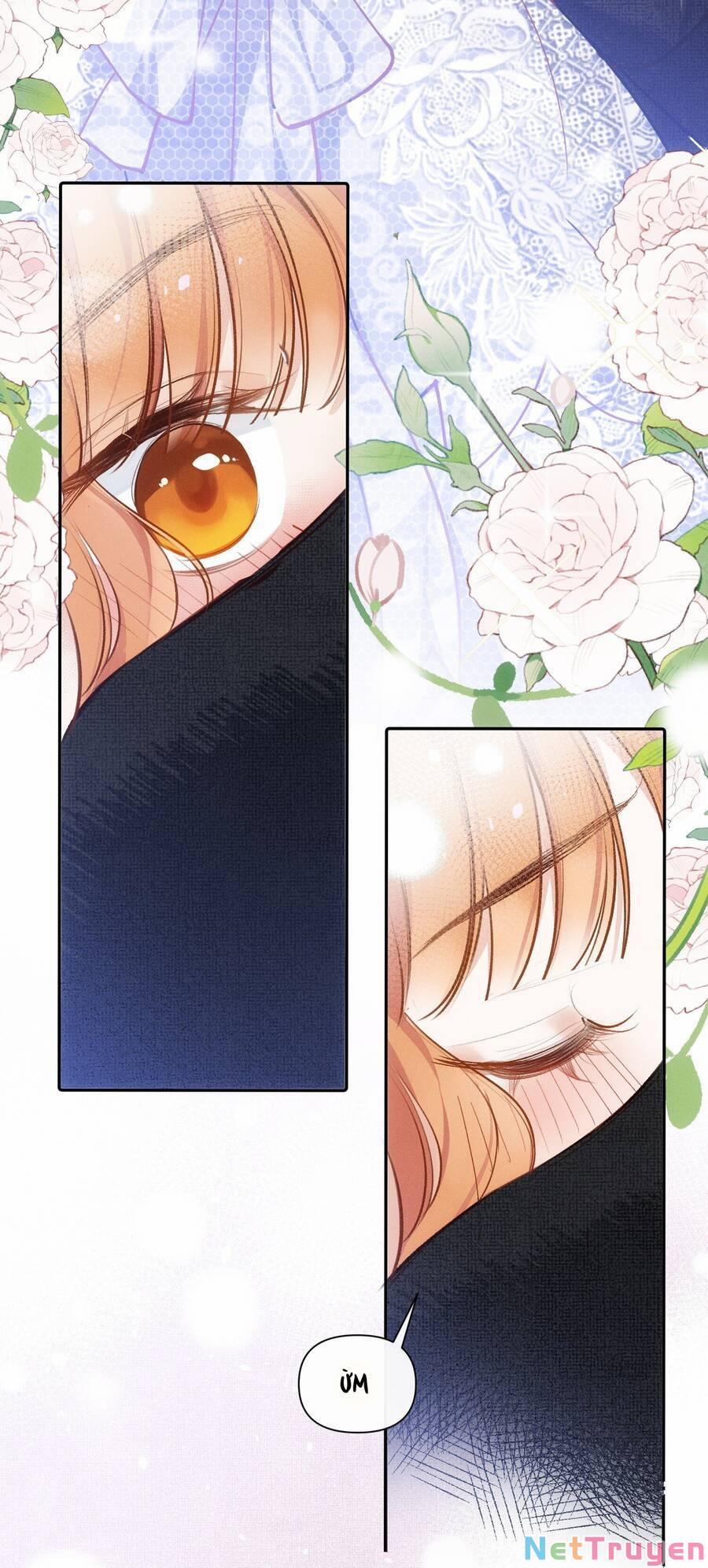 Mười Năm Sau, Tôi Kết Hôn Với Kẻ Không Đội Trời Chung Của Mình?! 6 trang 16