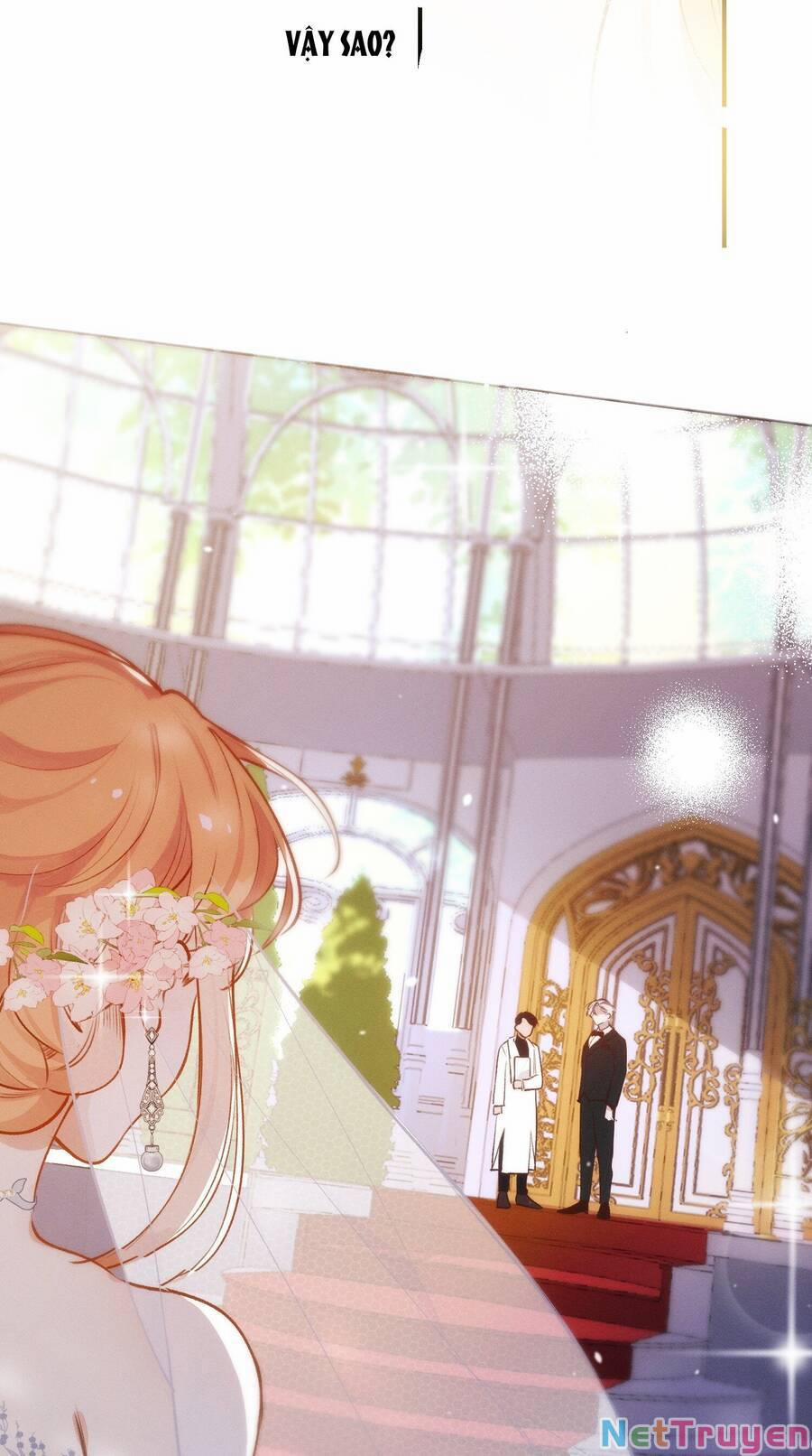 Mười Năm Sau, Tôi Kết Hôn Với Kẻ Không Đội Trời Chung Của Mình?! 6 trang 5