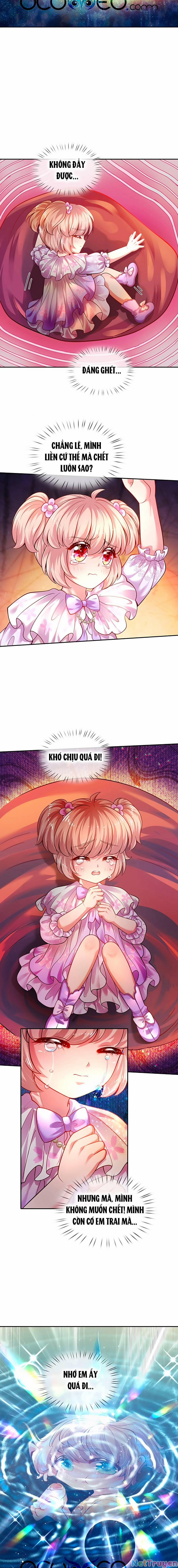 Muốn Giải Cứu Thế Giới Thì Cần Thật Nhiều Sự Đáng Yêu 40 trang 4