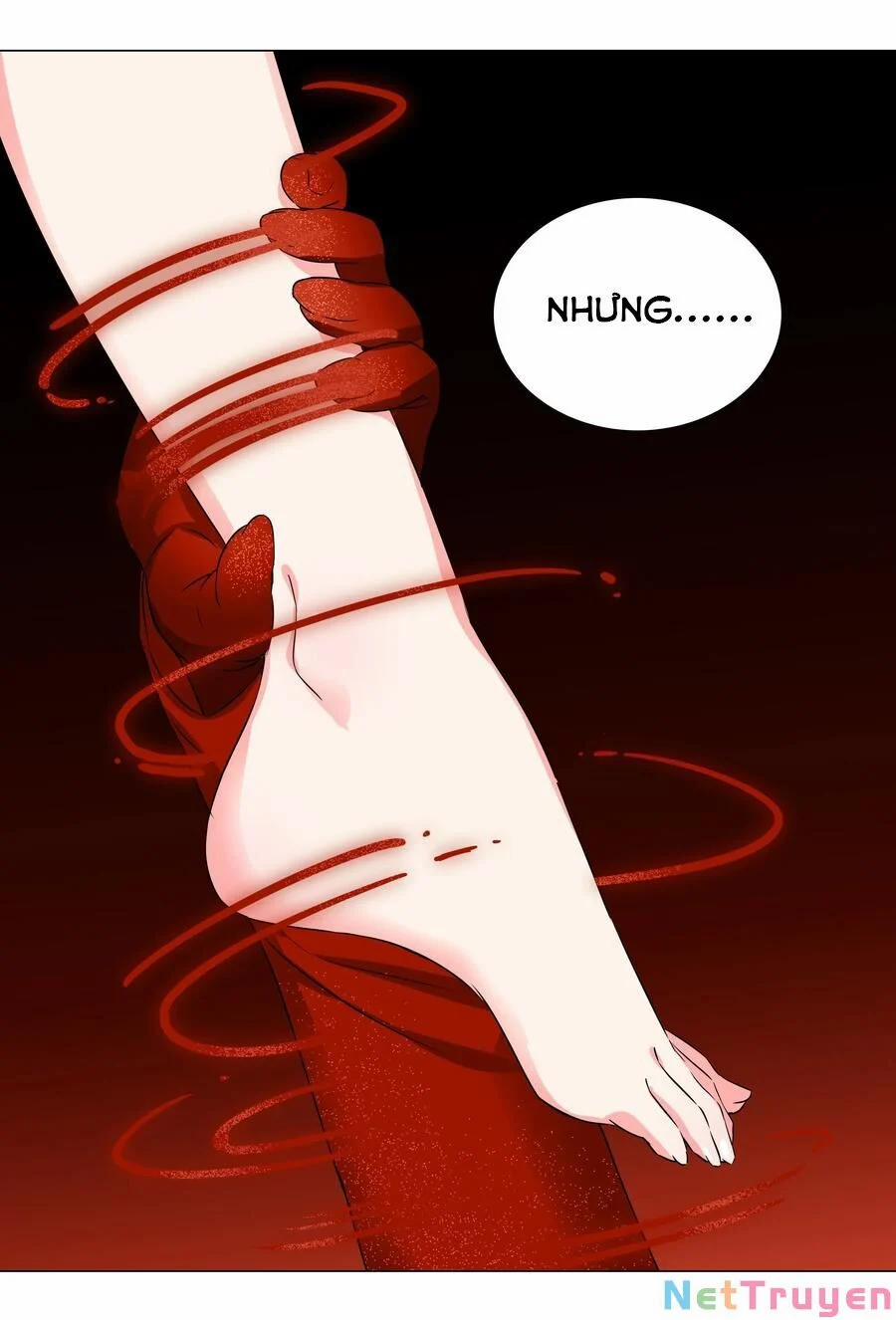 My Harem Grew So Large, I Was Forced To Ascend 53 trang 66