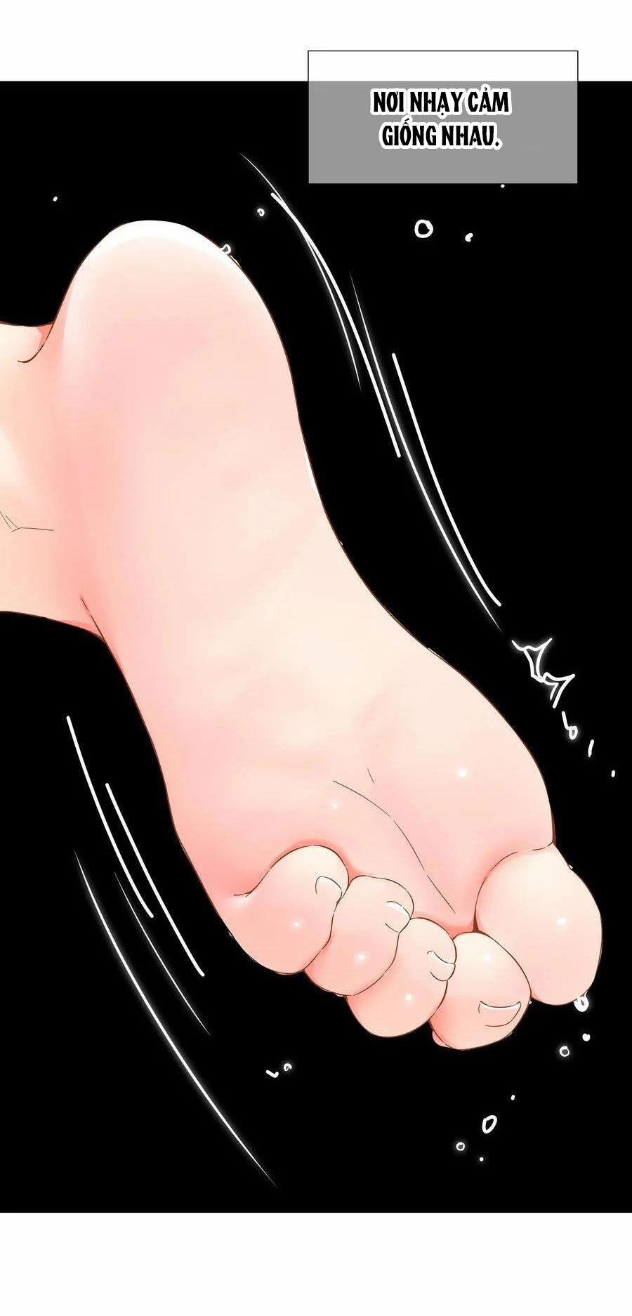 My Harem Grew So Large, I Was Forced To Ascend 75 trang 12