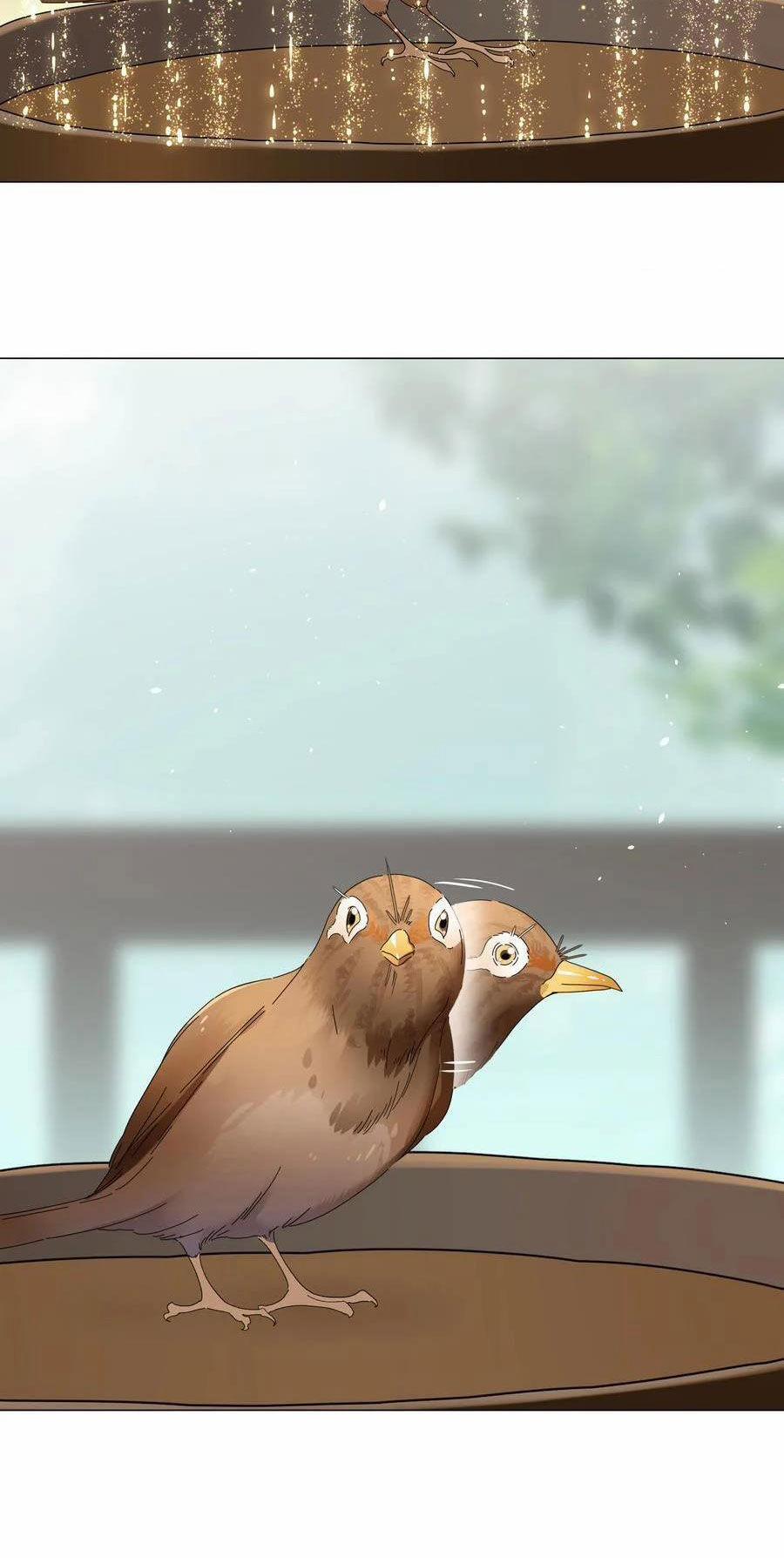 My Harem Grew So Large, I Was Forced To Ascend 75 trang 95