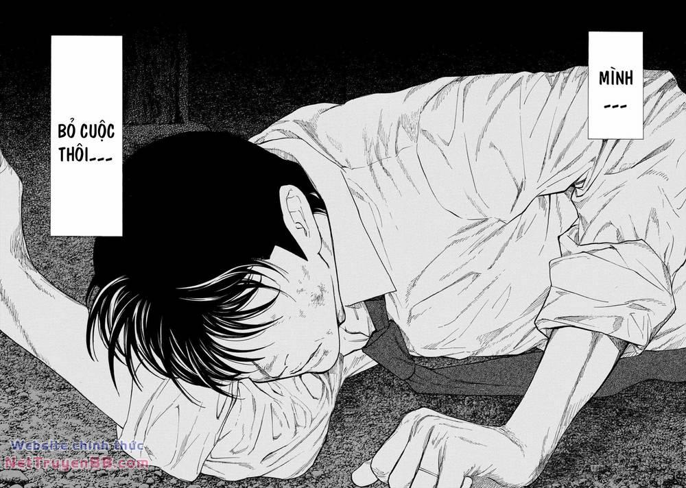 My Home Hero 114 trang 12