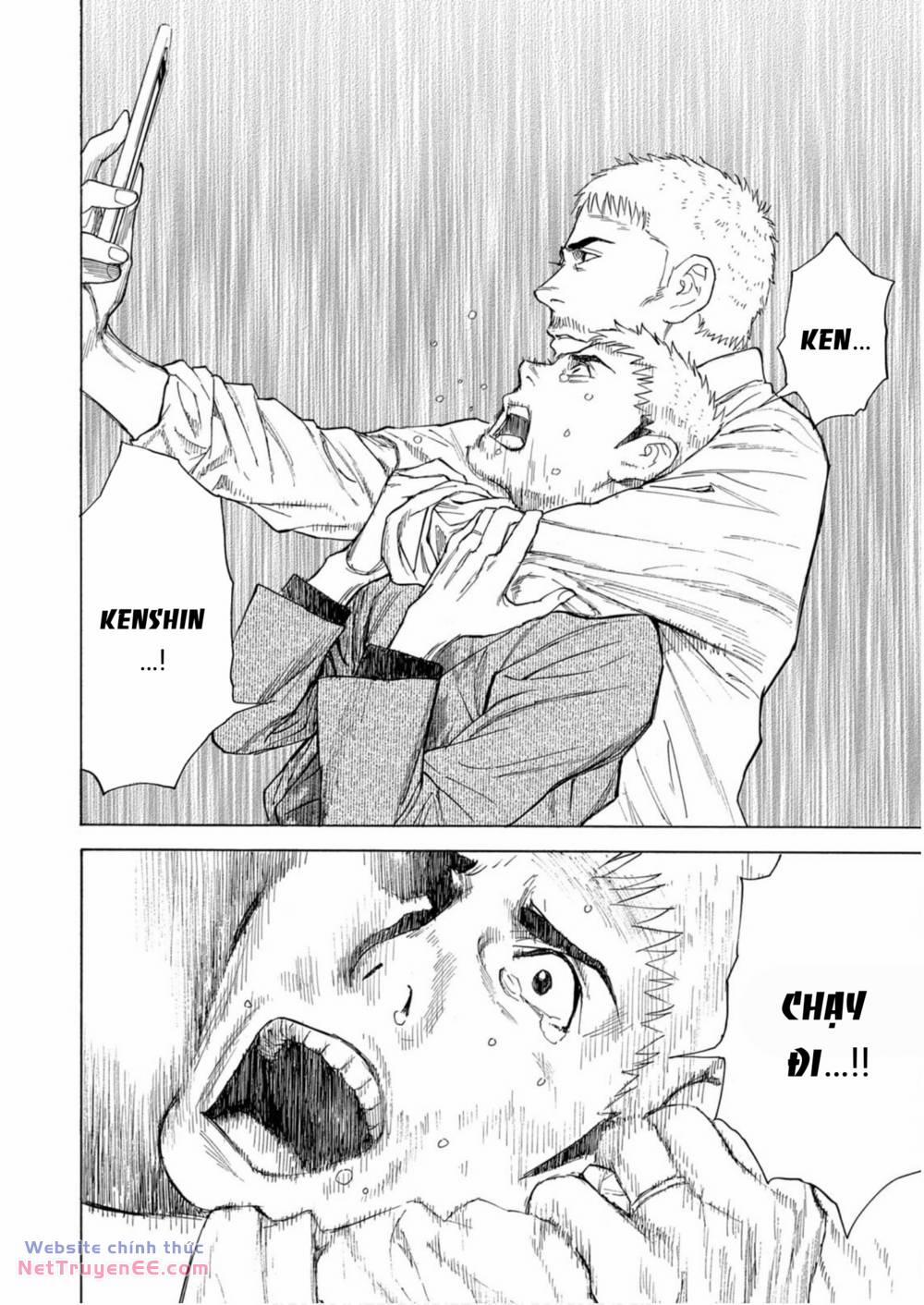 My Home Hero 115 trang 13