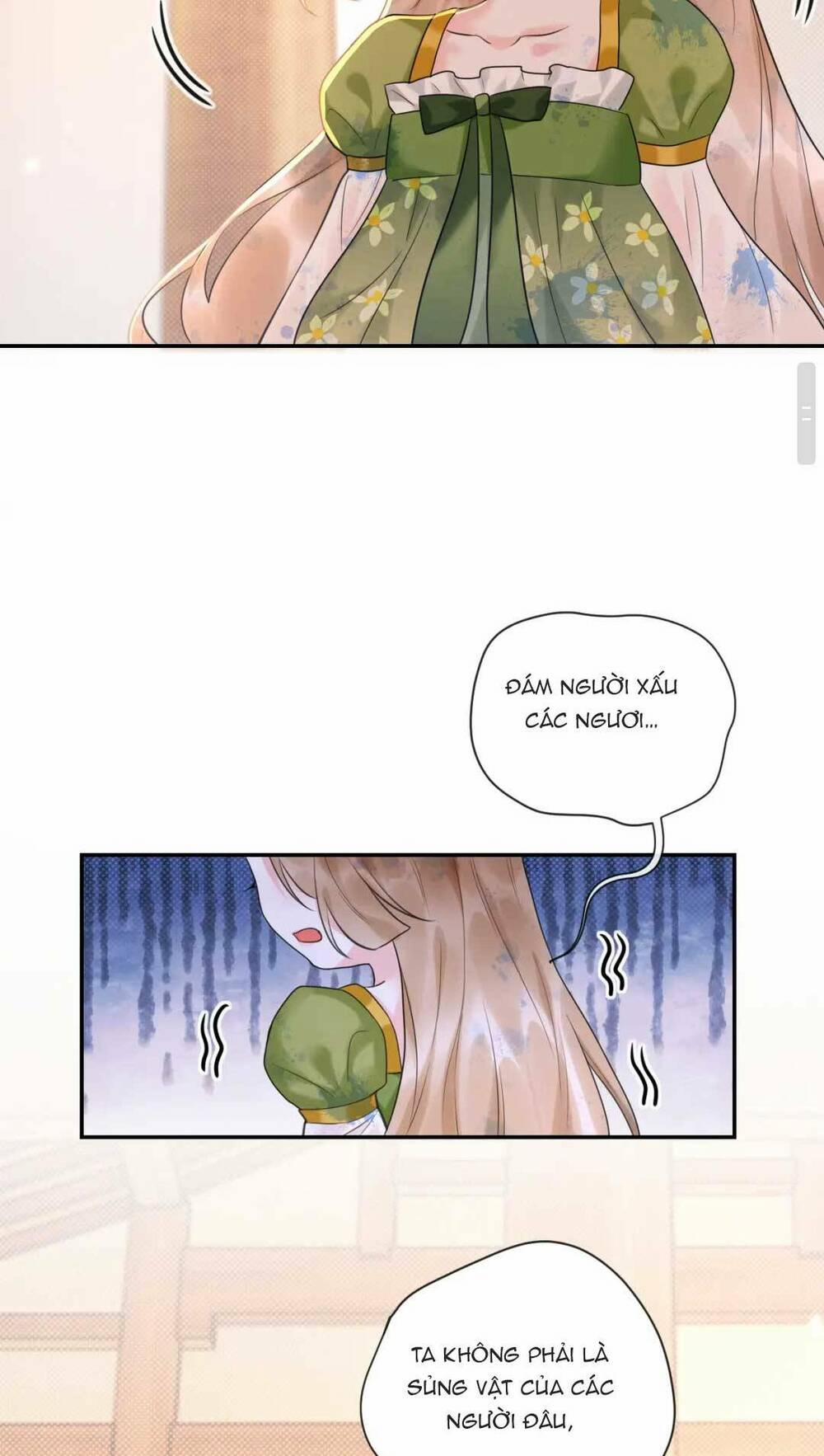 Mỹ Nhân Ác Độc Làm Rung Động Lòng Người 5 trang 10