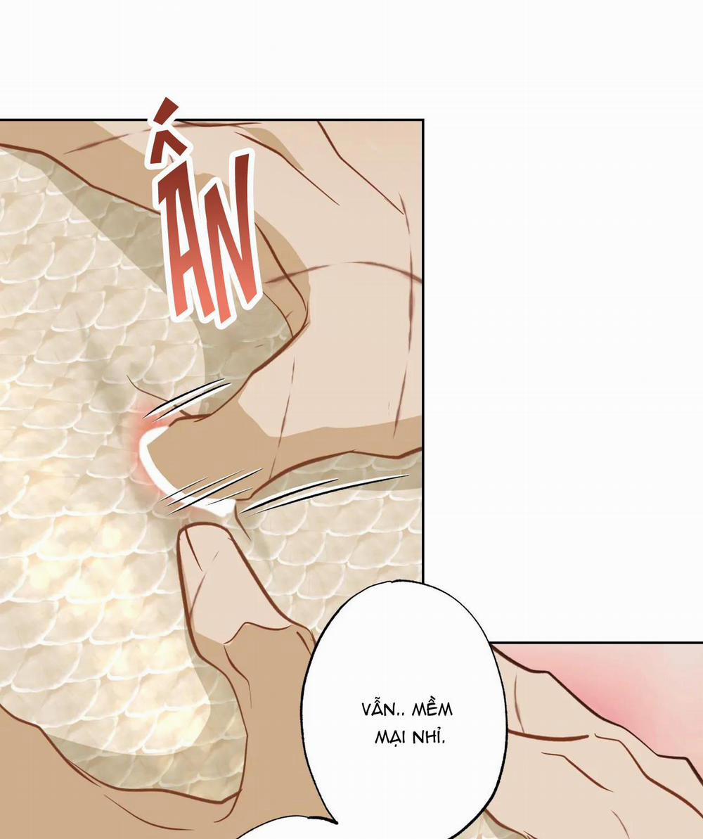 MỸ NHÂN NGƯ 10 trang 37