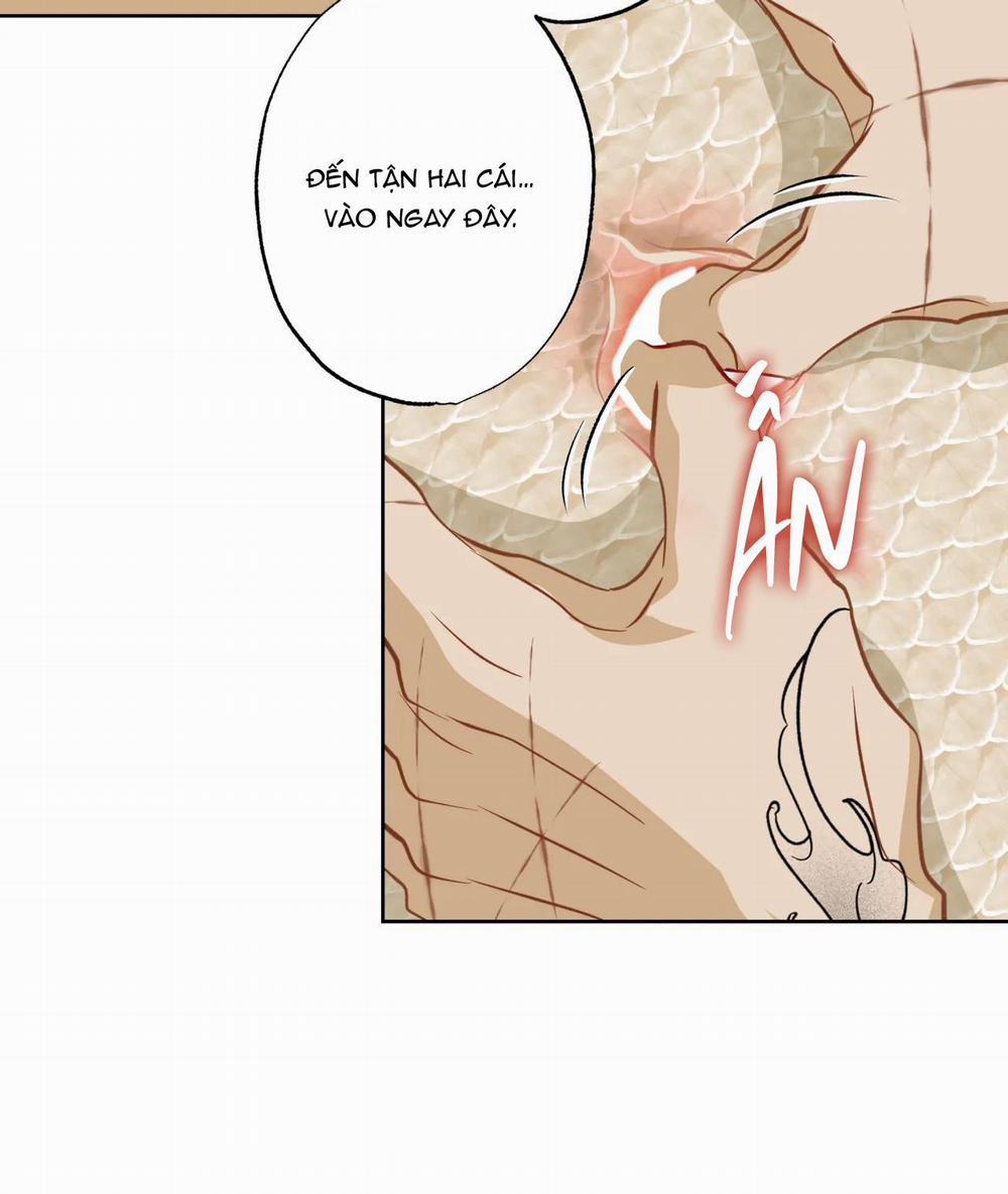 MỸ NHÂN NGƯ 10 trang 38