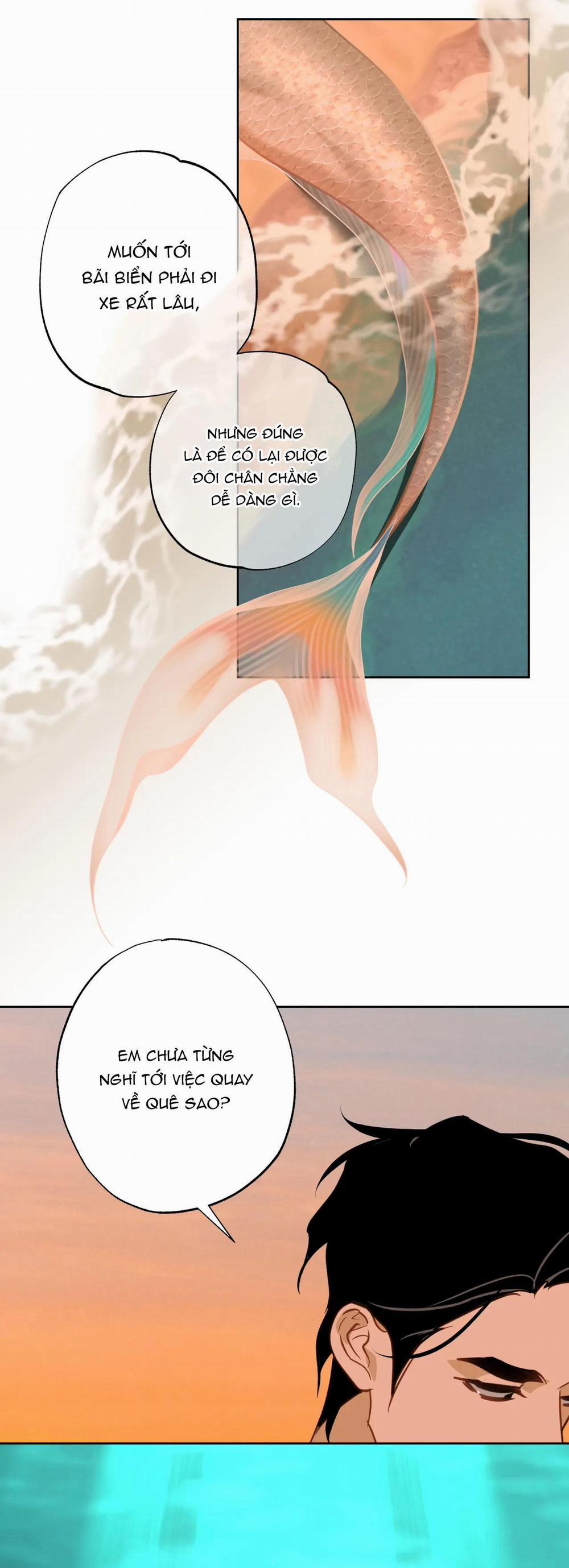 MỸ NHÂN NGƯ 14 NT3 trang 24