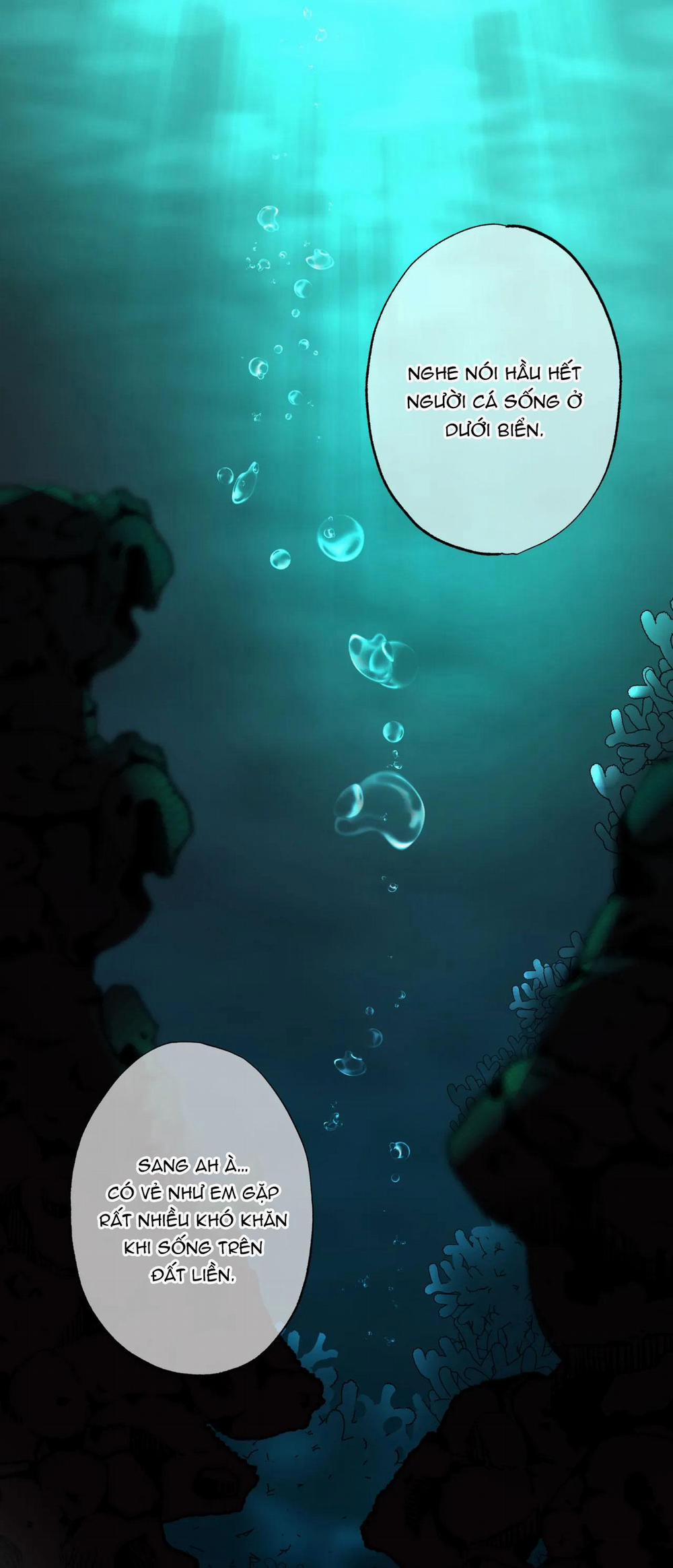 MỸ NHÂN NGƯ 14 NT3 trang 25