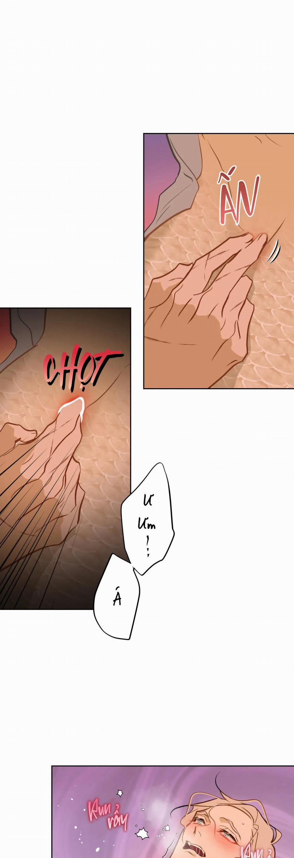 MỸ NHÂN NGƯ 15 trang 8