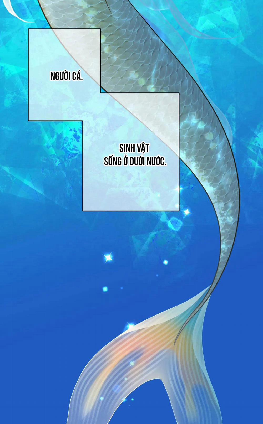 MỸ NHÂN NGƯ 2 trang 1