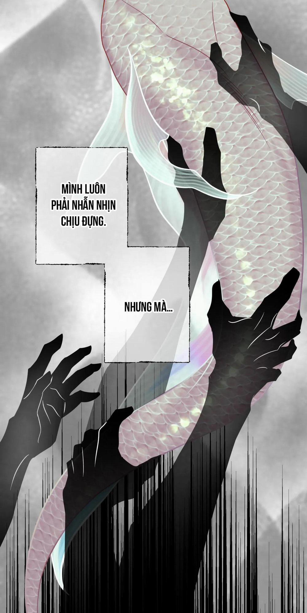 MỸ NHÂN NGƯ 3 trang 52