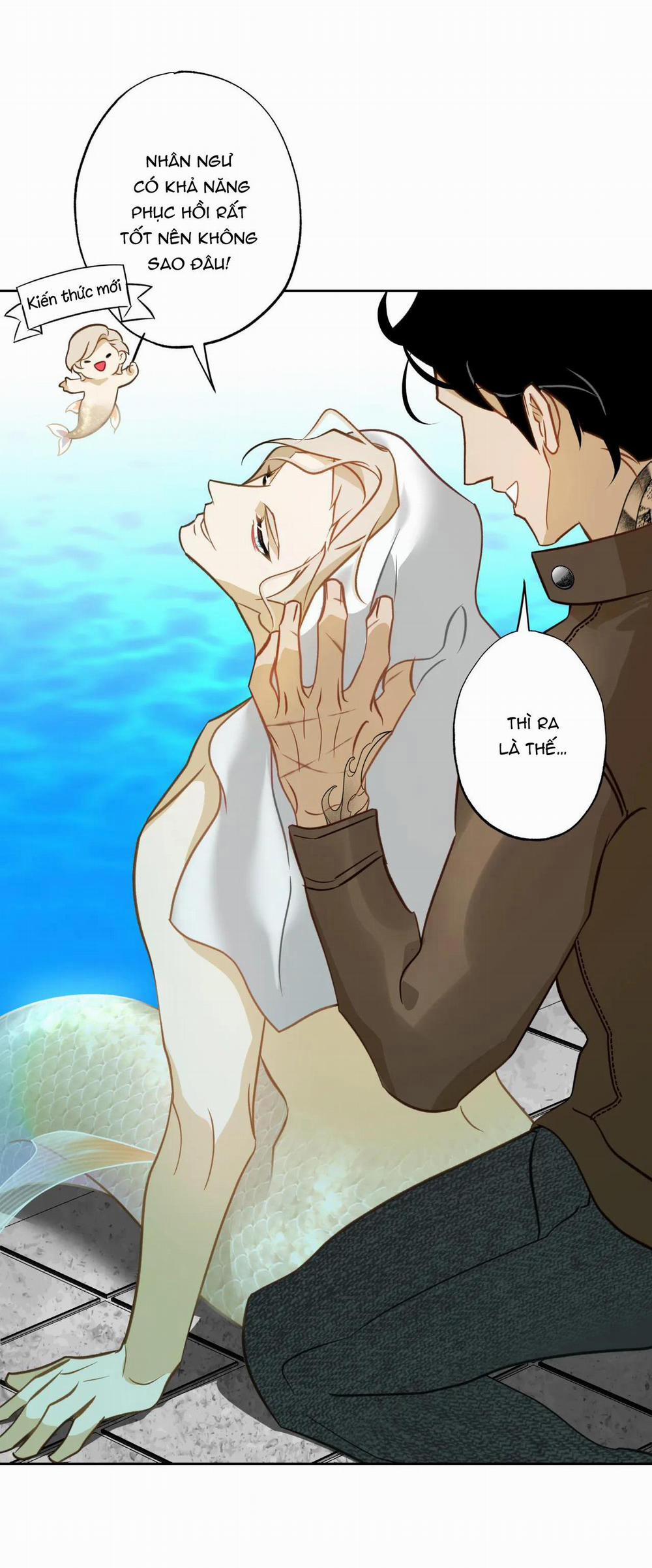 MỸ NHÂN NGƯ 5 trang 37