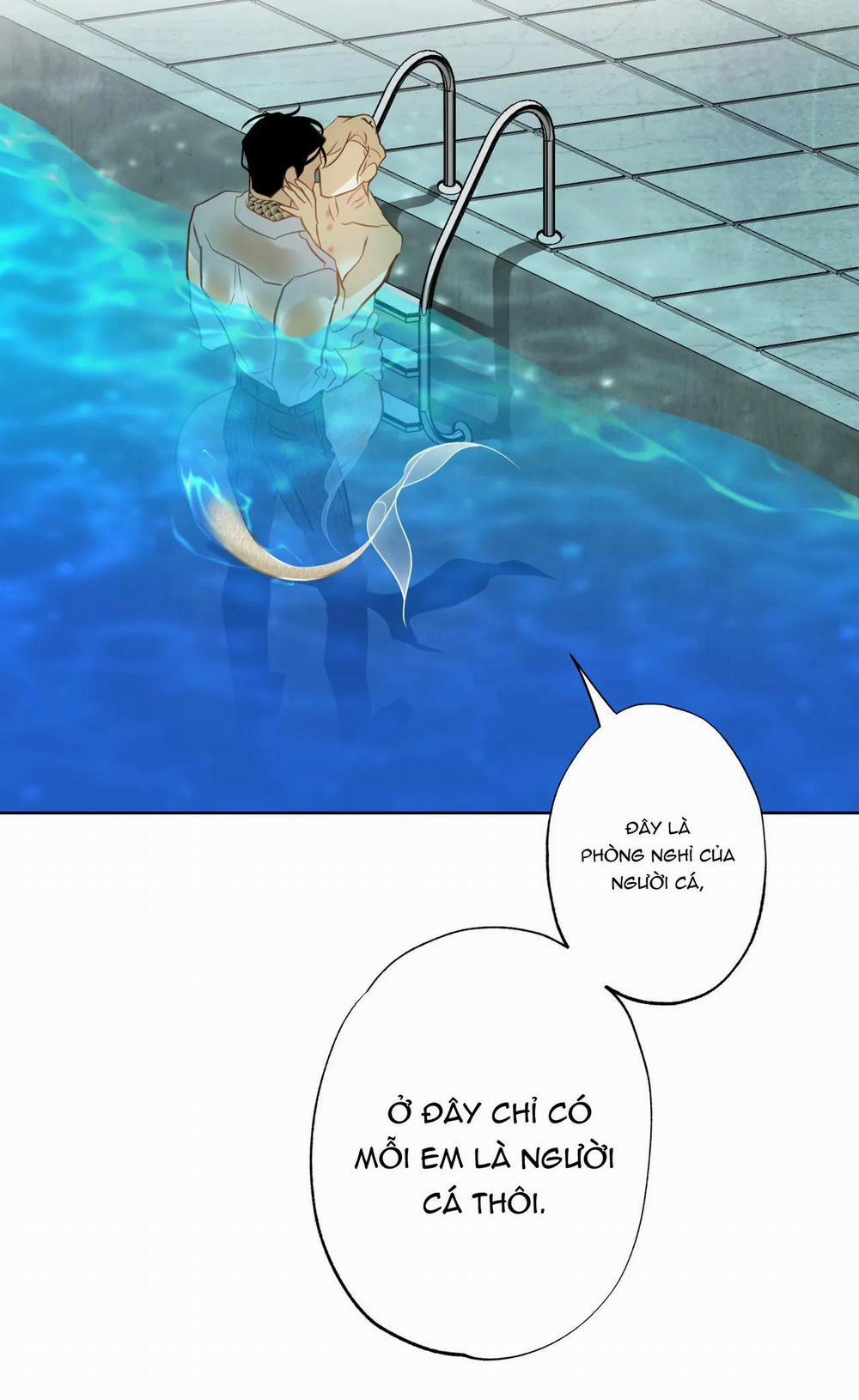 MỸ NHÂN NGƯ 6 trang 19