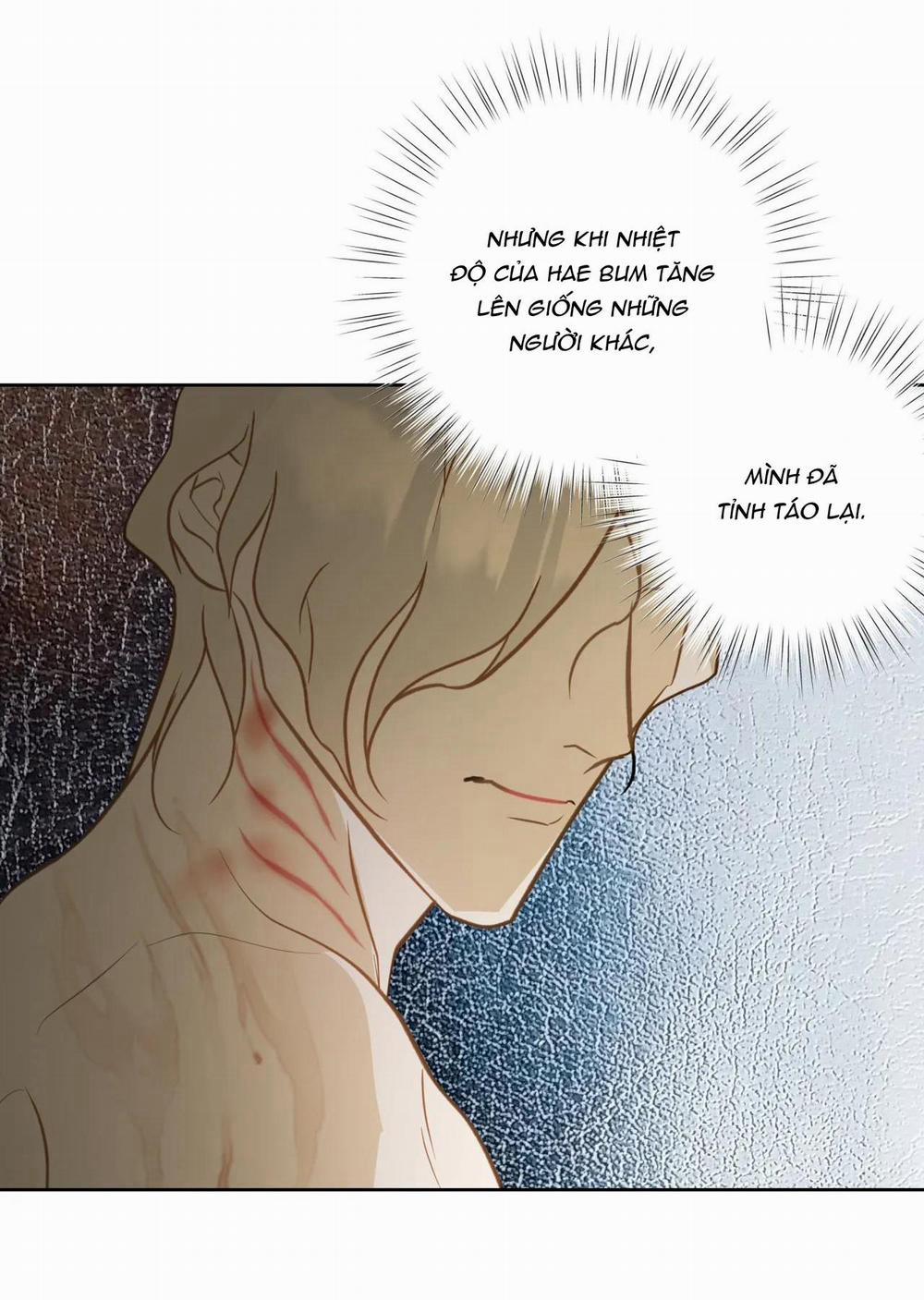 MỸ NHÂN NGƯ 7 trang 14