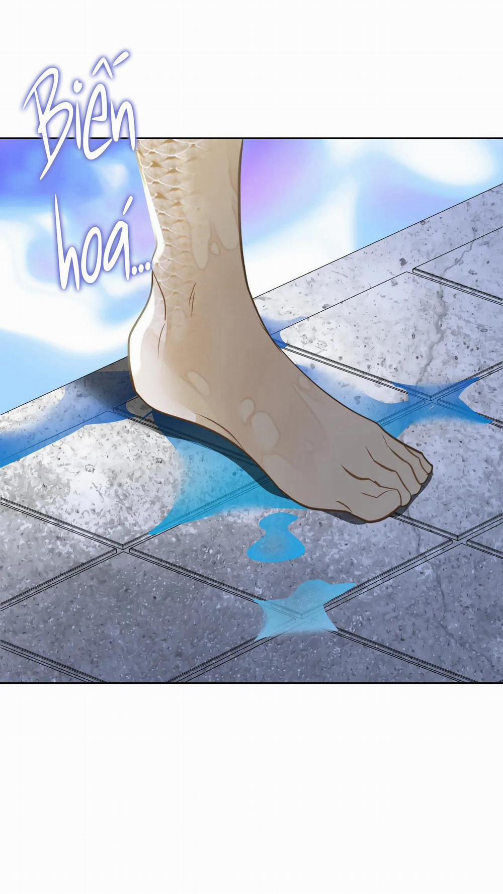 MỸ NHÂN NGƯ 7 trang 19