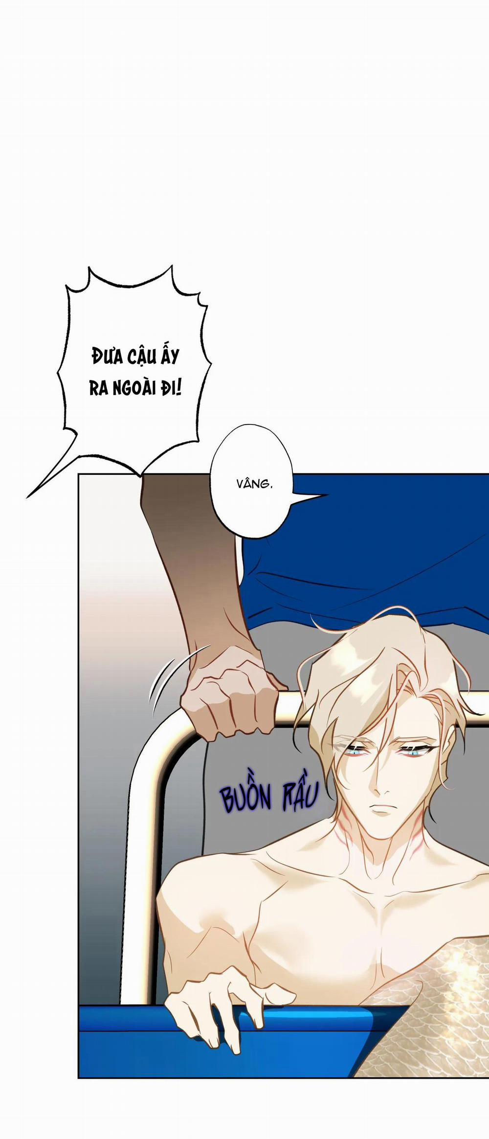 MỸ NHÂN NGƯ 7 trang 62