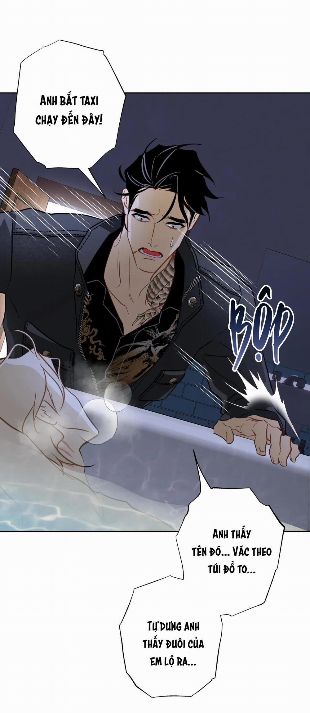 MỸ NHÂN NGƯ 9 trang 3